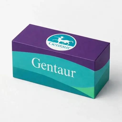 ChamQ Universal SYBR qPCR Master Mix – 500 Reaktionen (20 μL/Reaktion)