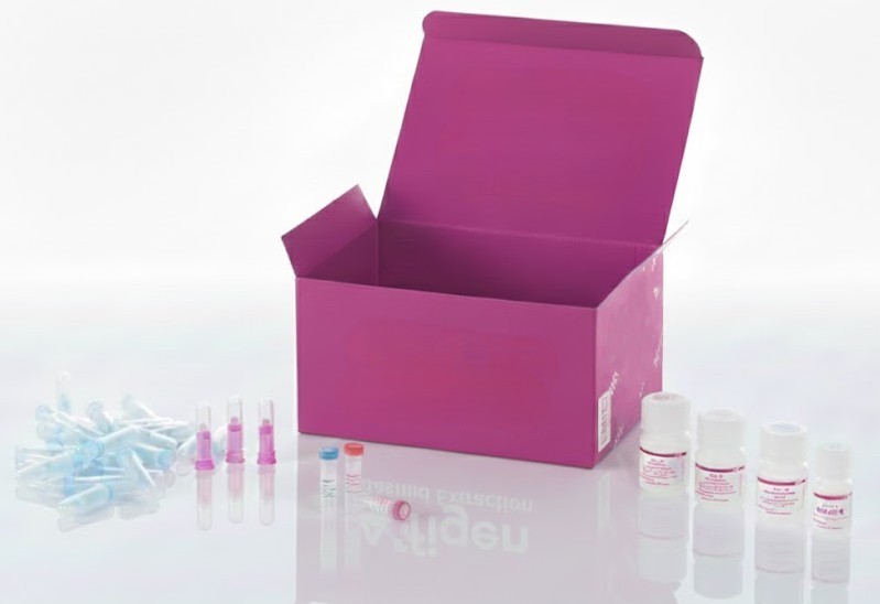Cáncer de próstata con cambios progresivos, 48 casos en 96 núcleos (1,5 mm)